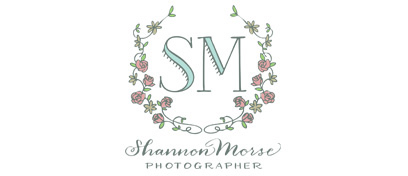 Shannon Morse Blog logo