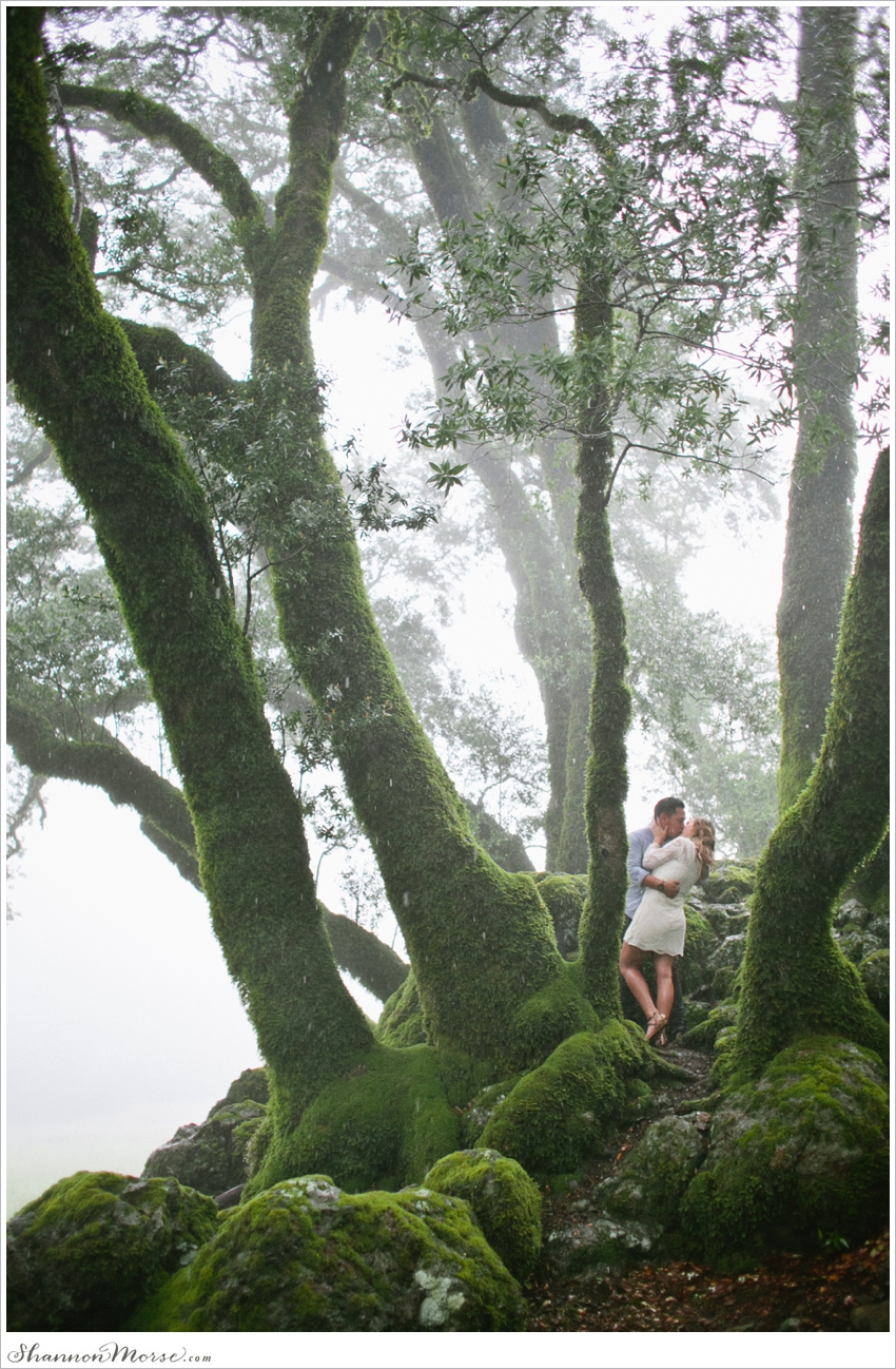 BertoBri Rainy Foggy Meadow Forest Engagement Shoot_0006