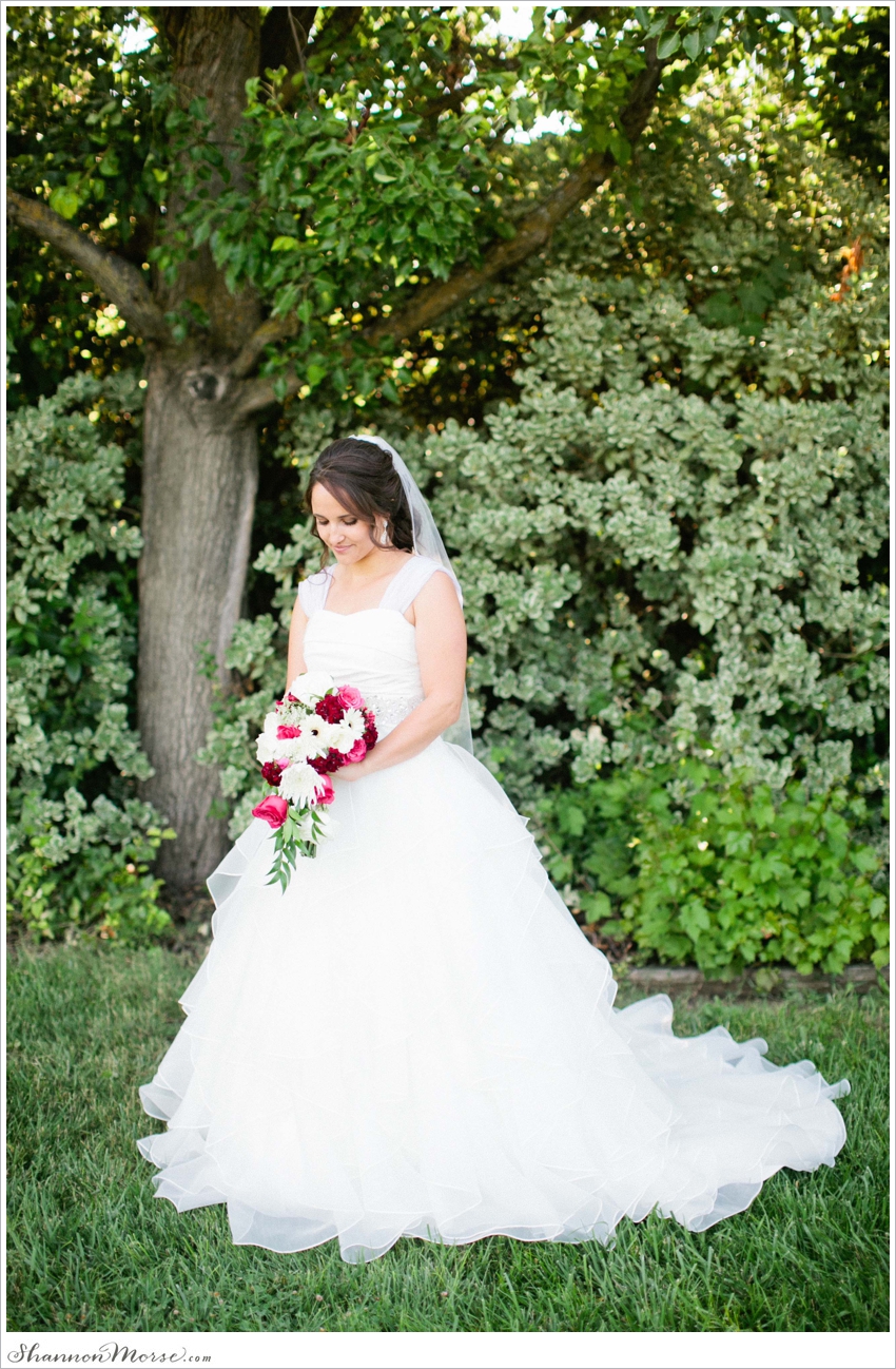 David & Angela {Davis Wedding Photography} » Shannon Morse Blog