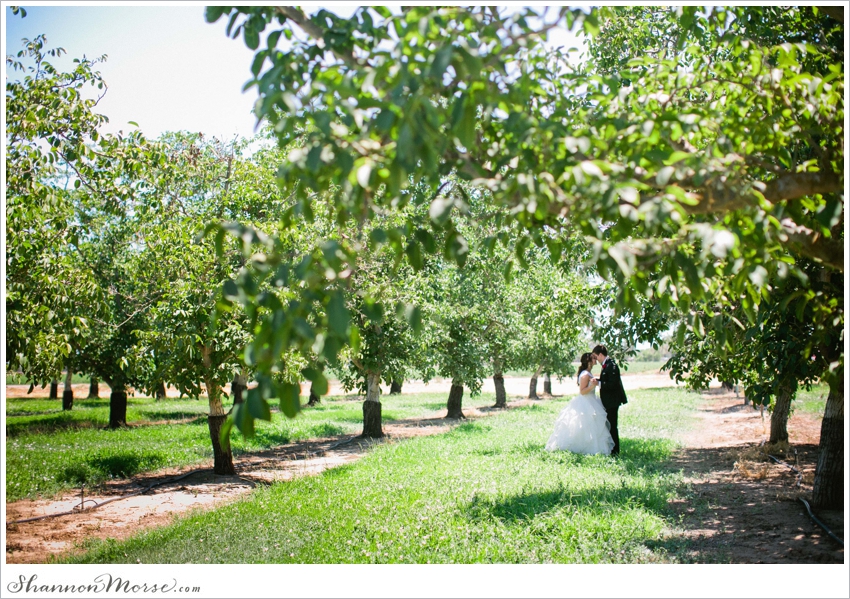 _David Angela Davis California Wedding Photography_103