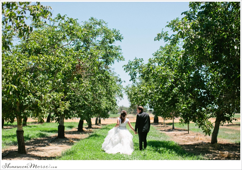 _David Angela Davis California Wedding Photography_105