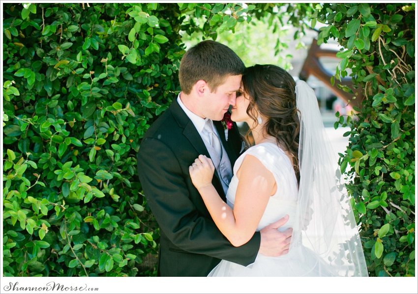 _David Angela Davis California Wedding Photography_124
