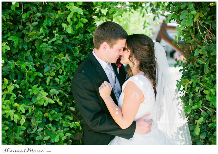 _David Angela Davis California Wedding Photography_124