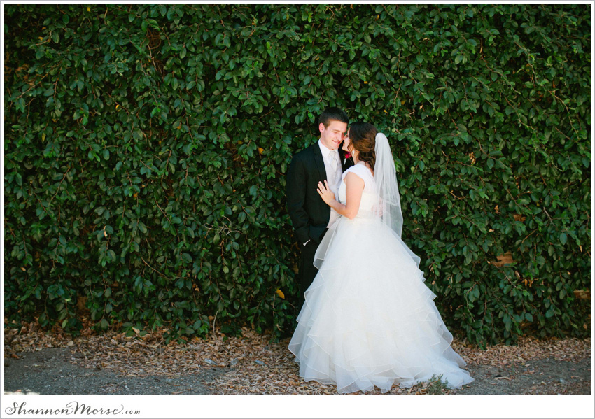 _David Angela Davis California Wedding Photography_125