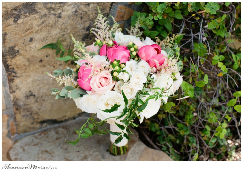 Loomis Backyard Wedding Photographer Sacramento_028