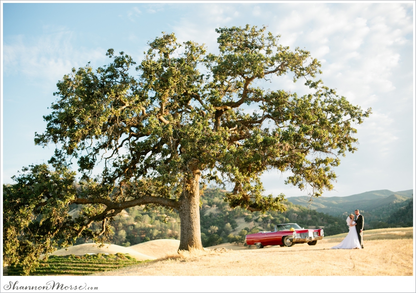 San Francisco Napa Sacramento Wedding Photographer Romantic_008