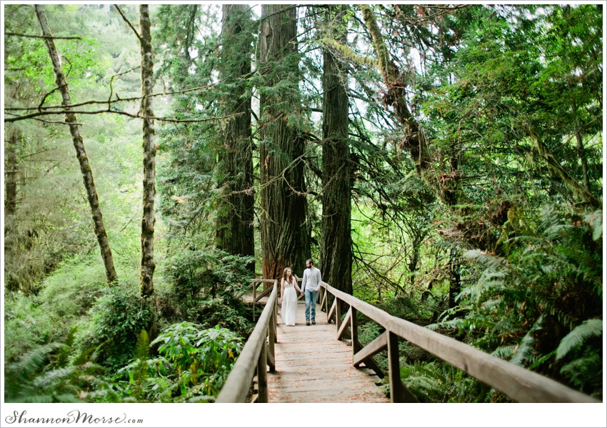 Redwood National Park Engagement Session Redwoods_016