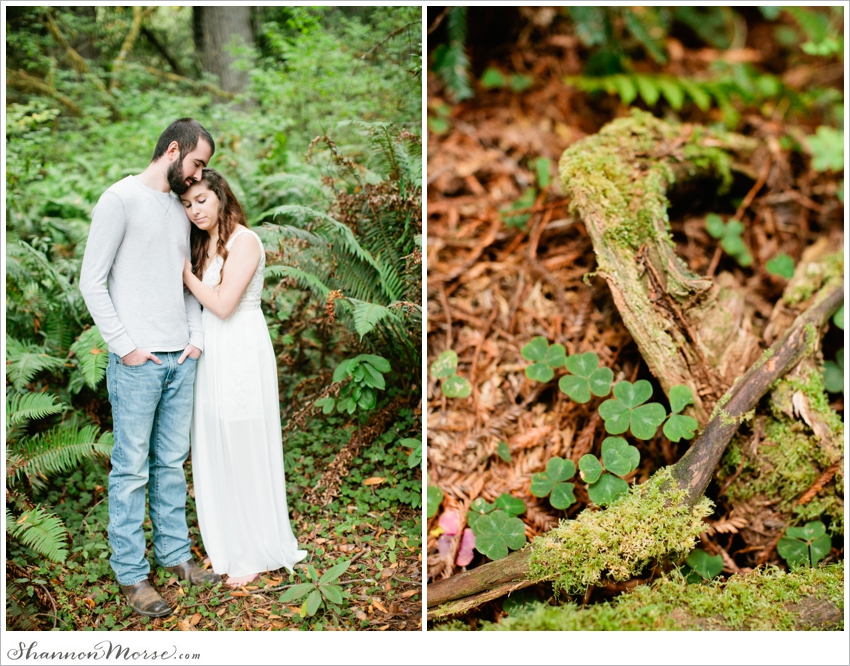 Redwood National Park Engagement Session Redwoods_025