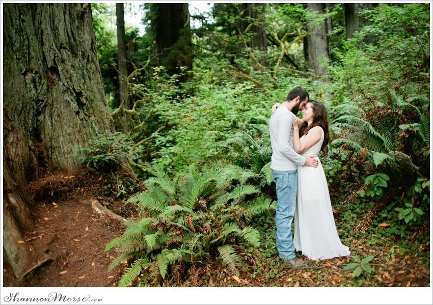 Redwood National Park Engagement Session Redwoods_029