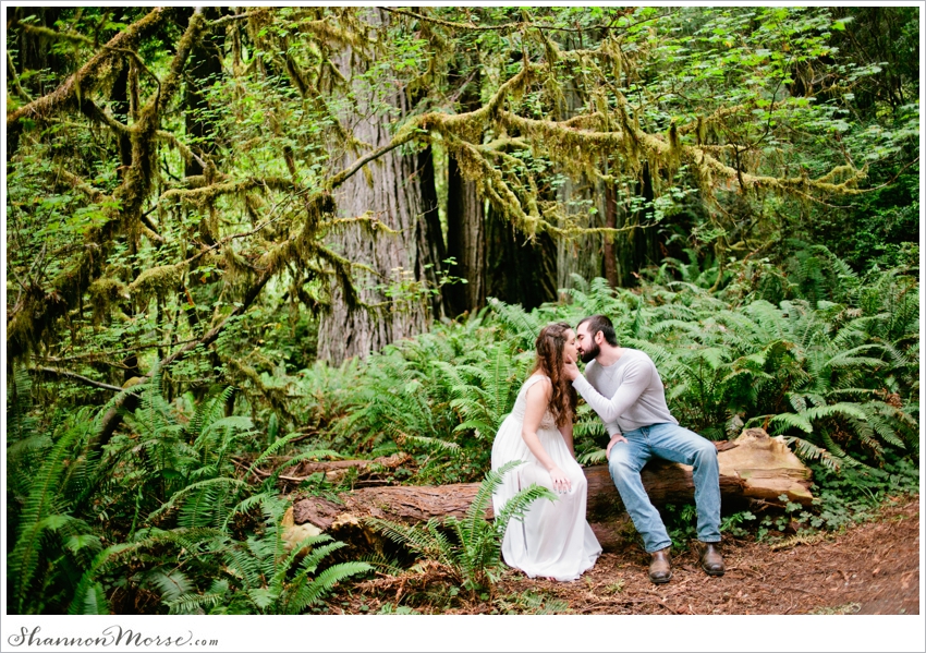 Redwood National Park Engagement Session Redwoods_031