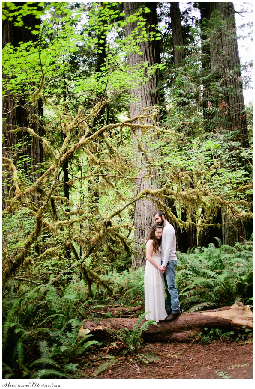 Redwood National Park Engagement Session Redwoods_032