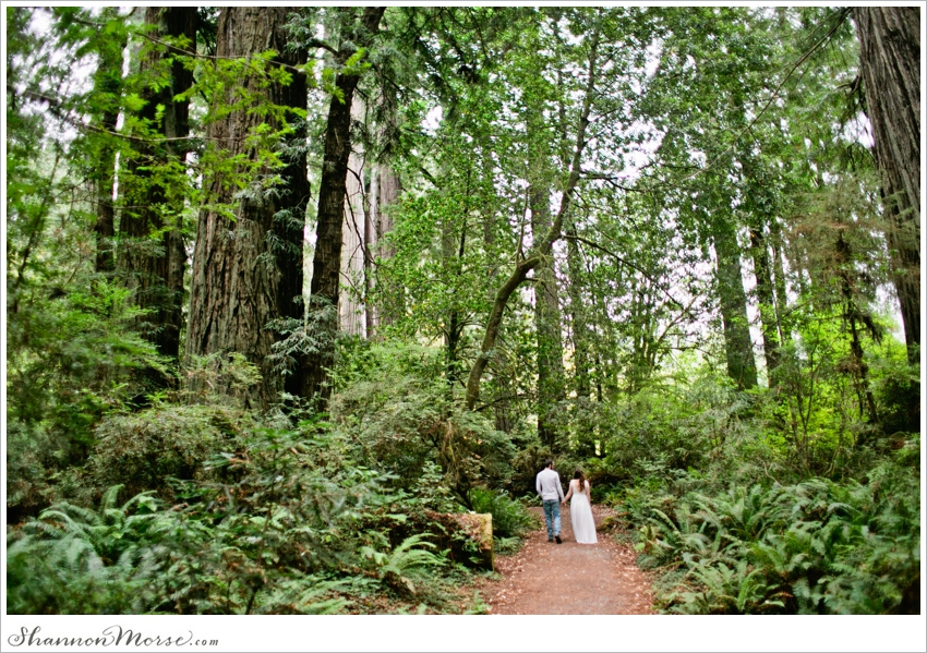 Redwood National Park Engagement Session Redwoods_033