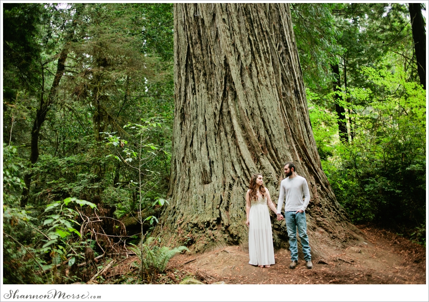 Redwood National Park Engagement Session Redwoods_036