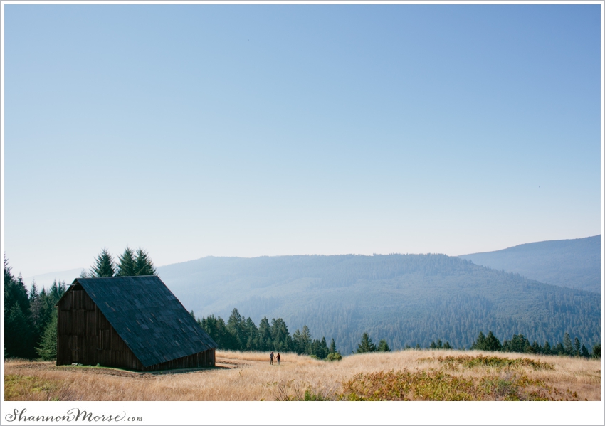 Redwood National Park Engagement Session Redwoods_047