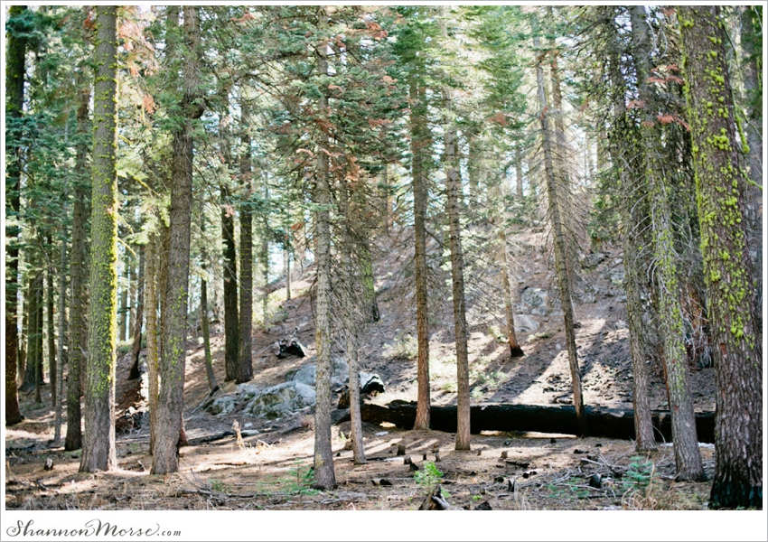 Yosemite Wedding Photographer Fall Photography_0002