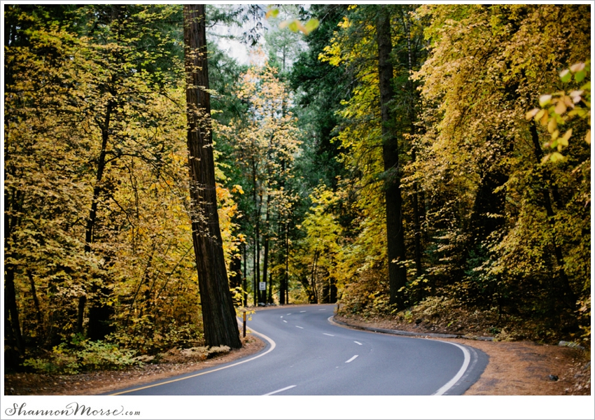 Yosemite Wedding Photographer Fall Photography_0006