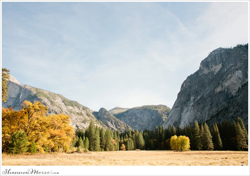 Yosemite Wedding Photographer Fall Photography_0010
