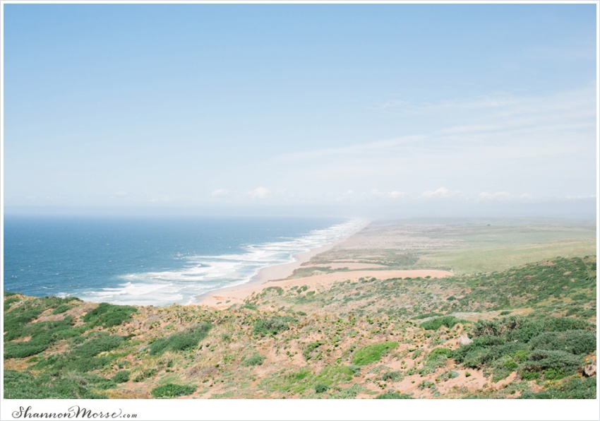 PointReyesEngagementPhotosRomanticLC_0011