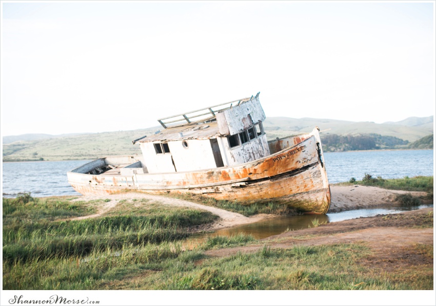 PointReyesEngagementPhotosRomanticLC_0052