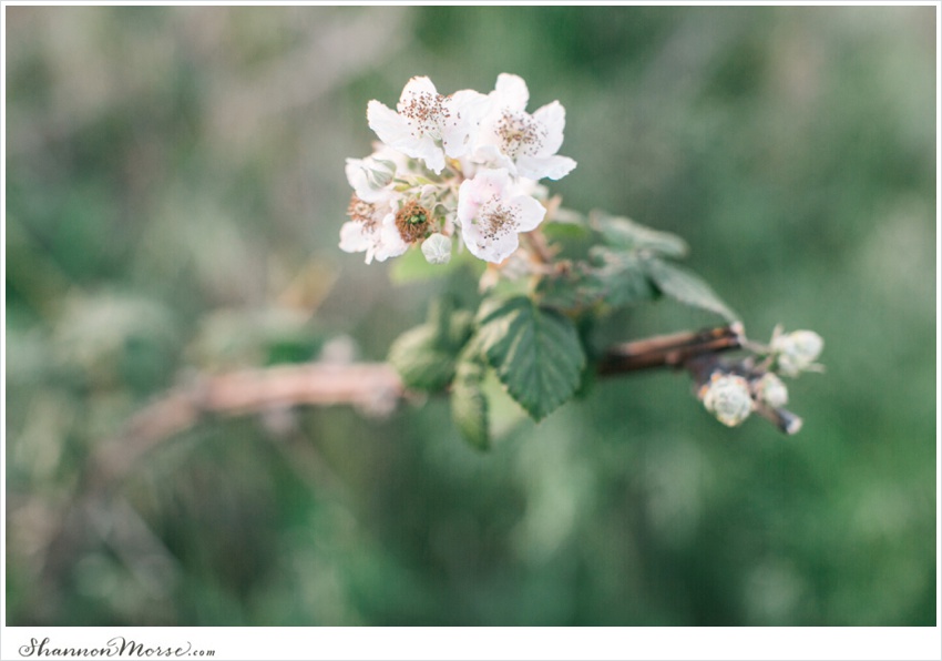 PointReyesEngagementPhotosRomanticLC_0085