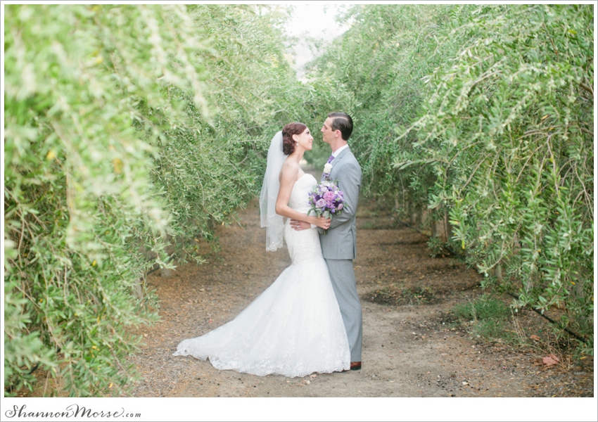 Taber Ranch Napa Valley Lavendar Wedding Julie Evan_0034