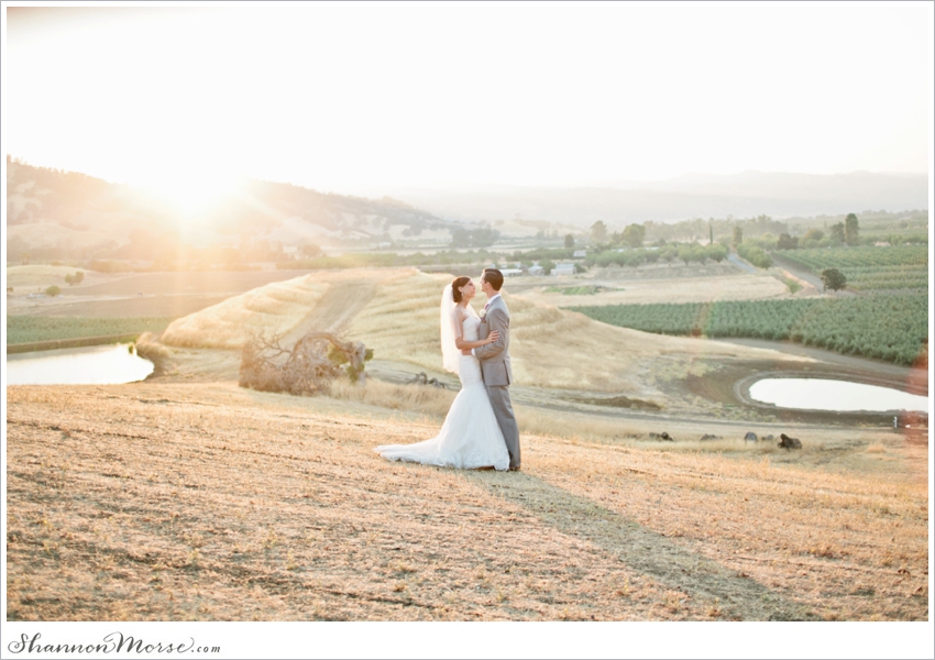 Taber Ranch Napa Valley Lavendar Wedding Julie Evan_0043