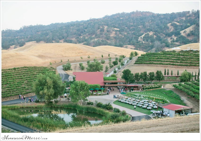 Taber Ranch Napa Valley Lavendar Wedding Julie Evan_0047