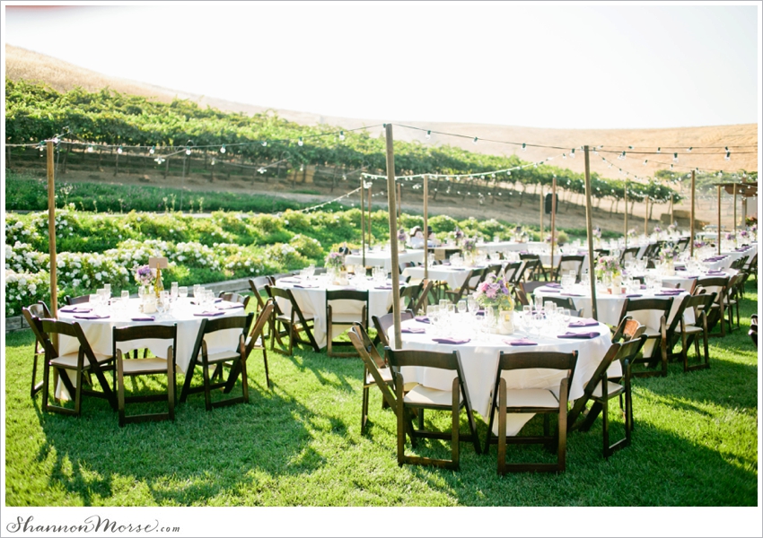 Taber Ranch Napa Valley Lavendar Wedding Julie Evan_0052