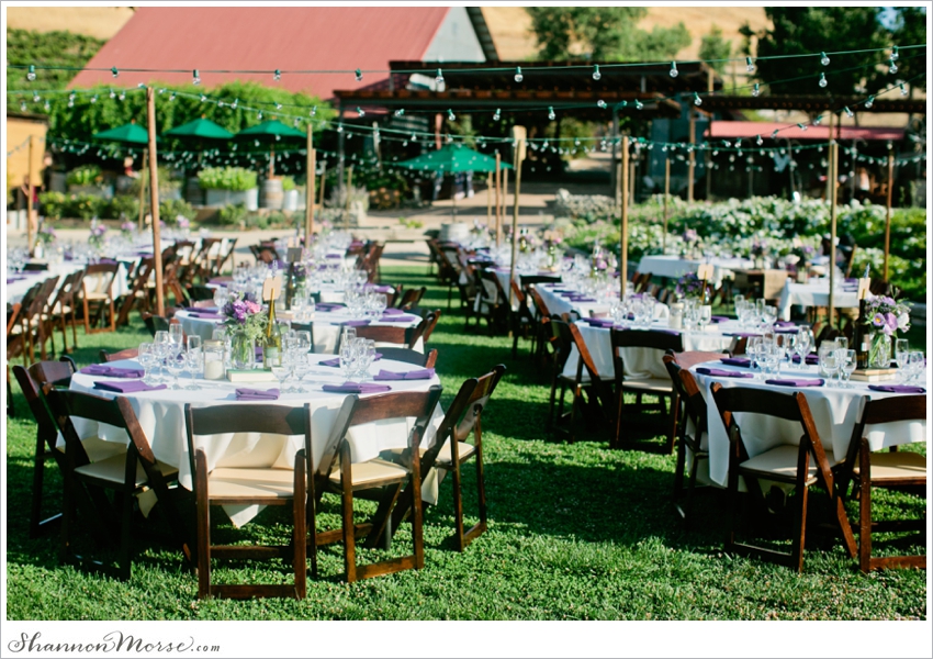 Taber Ranch Napa Valley Lavendar Wedding Julie Evan_0054