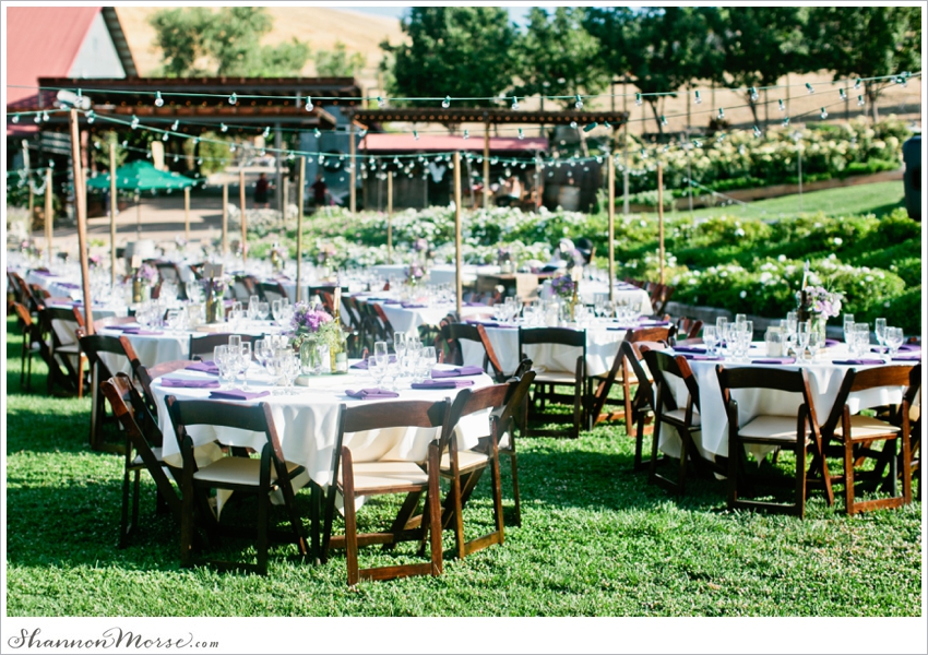 Taber Ranch Napa Valley Lavendar Wedding Julie Evan_0055