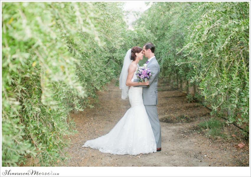 Taber Ranch Napa Valley Lavendar Wedding Julie Evan_0059