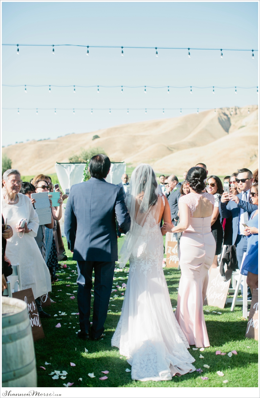 Wente Vineyards Wedding Photographer blush pink_0052