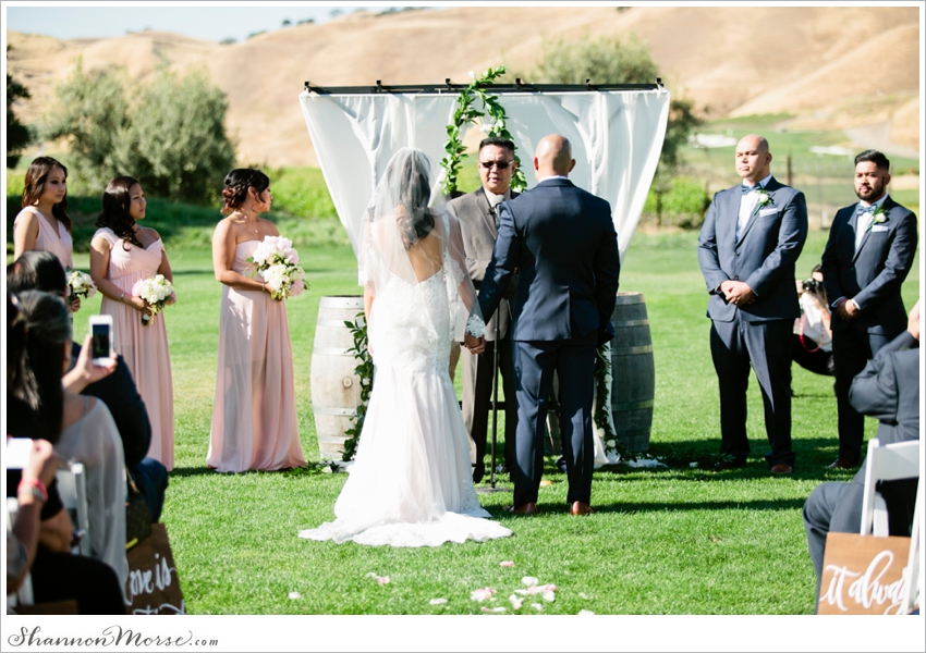 Wente Vineyards Wedding Photographer blush pink_0053