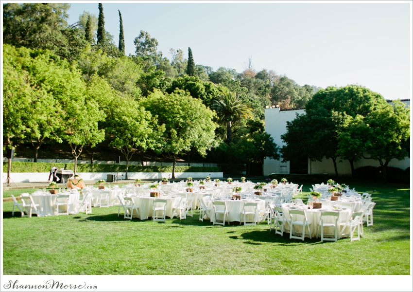 Wente Vineyards Wedding Photographer blush pink_0058