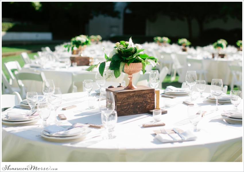 Wente Vineyards Wedding Photographer blush pink_0060