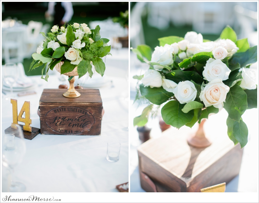 Wente Vineyards Wedding Photographer blush pink_0066