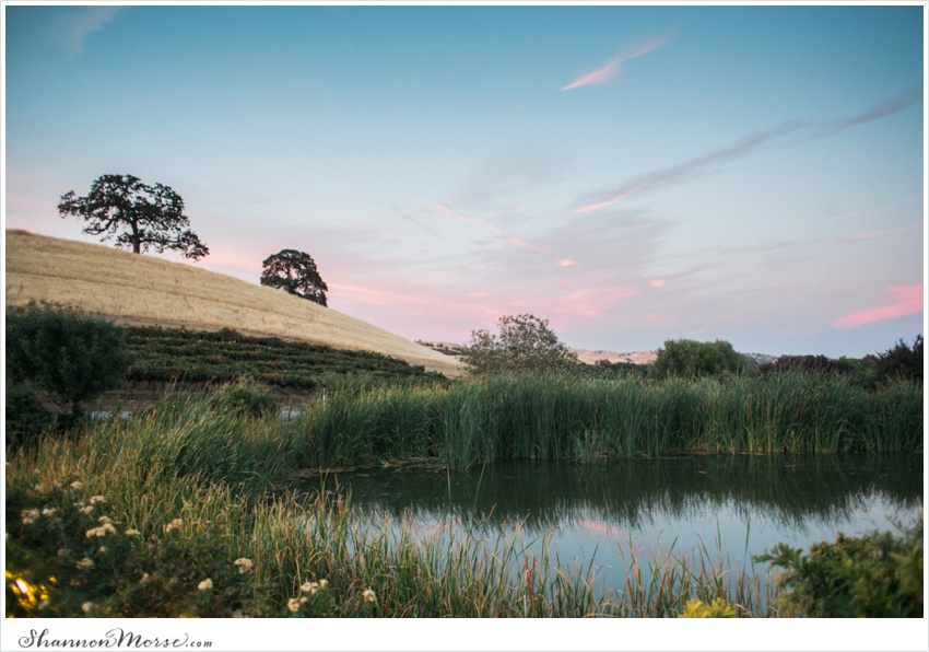 chenjosh_taberranch_wedding_0123