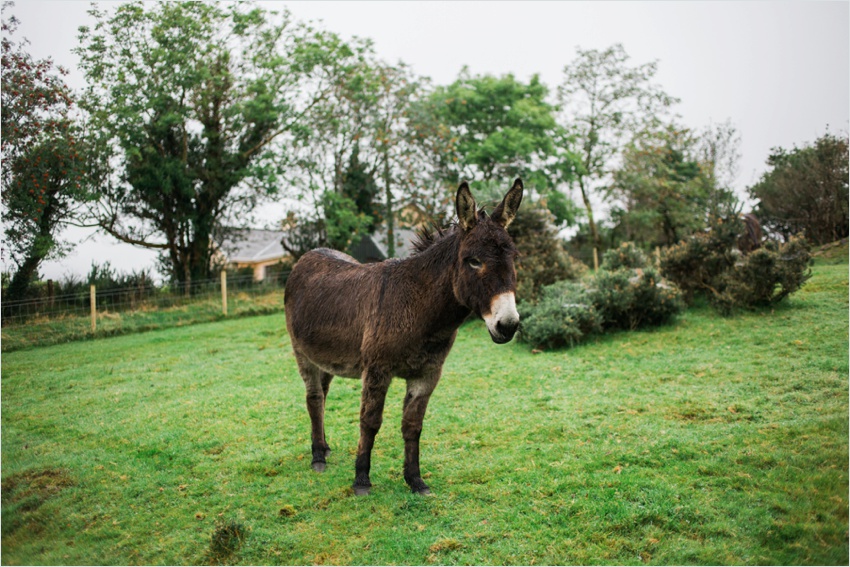 irelandtravelphotographyweddingphotographer_0046