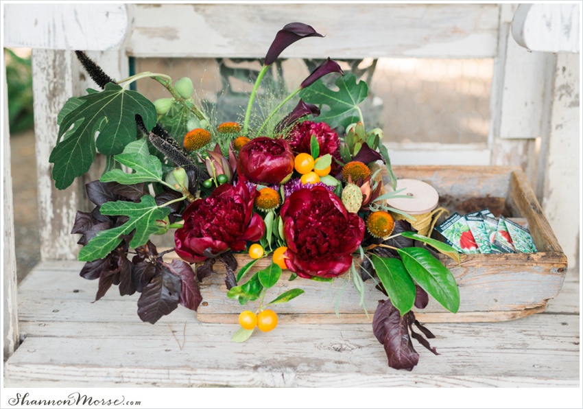 YolandRanchWedding_Woodland_Romantic_ShannonMorse_0013