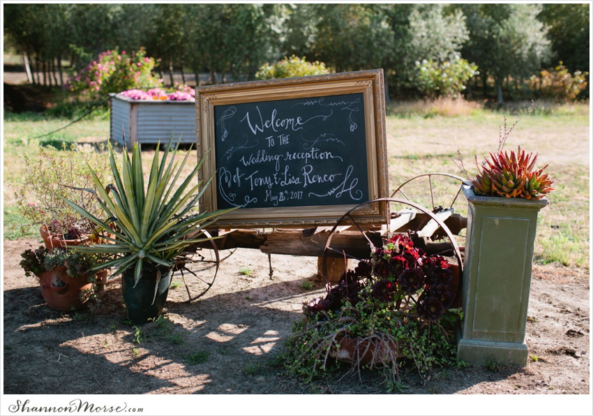 LisaTony_Vacaville_Taber_Ranch_Wedding_0031