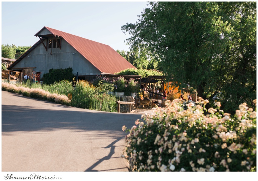 LisaTony_Vacaville_Taber_Ranch_Wedding_0032