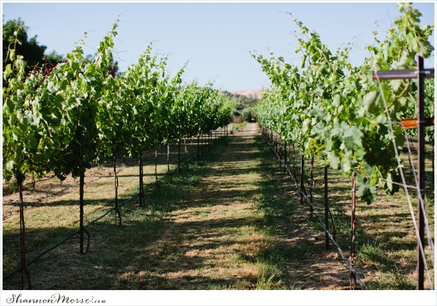 LisaTony_Vacaville_Taber_Ranch_Wedding_0034