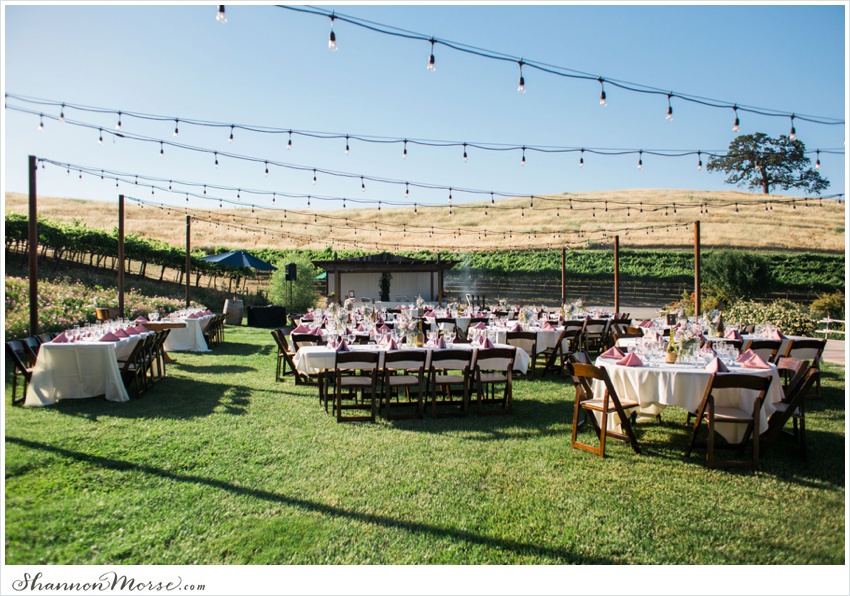 LisaTony_Vacaville_Taber_Ranch_Wedding_0058