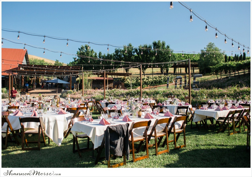 LisaTony_Vacaville_Taber_Ranch_Wedding_0059