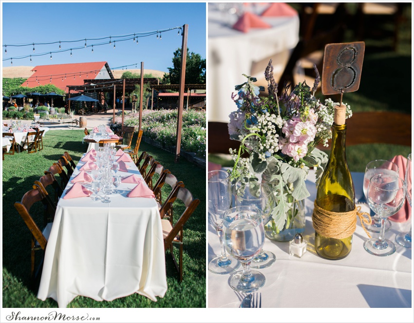 LisaTony_Vacaville_Taber_Ranch_Wedding_0061