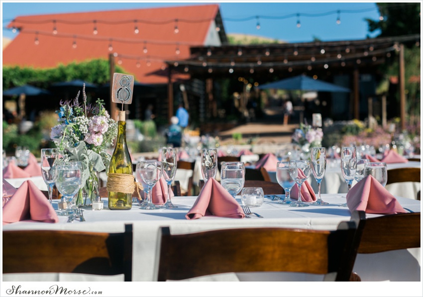 LisaTony_Vacaville_Taber_Ranch_Wedding_0063