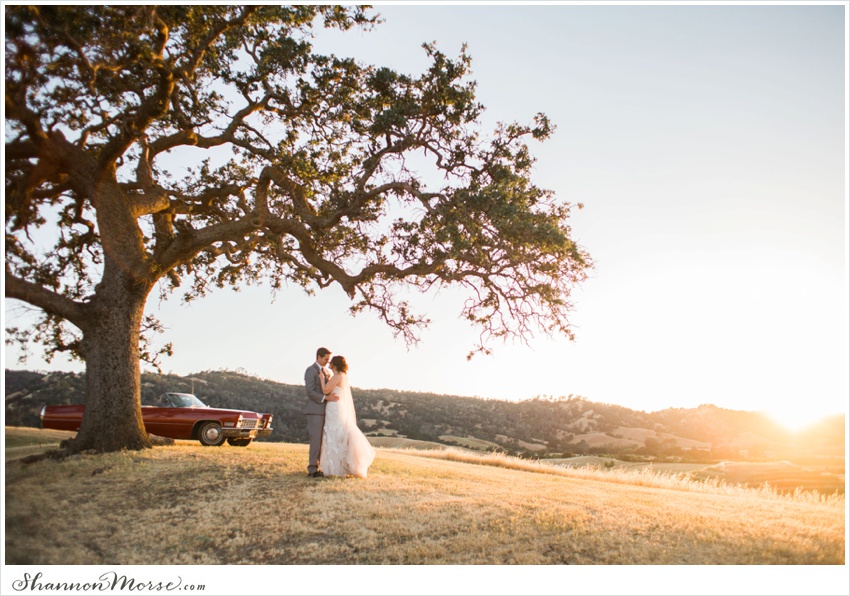 LisaTony_Vacaville_Taber_Ranch_Wedding_0083