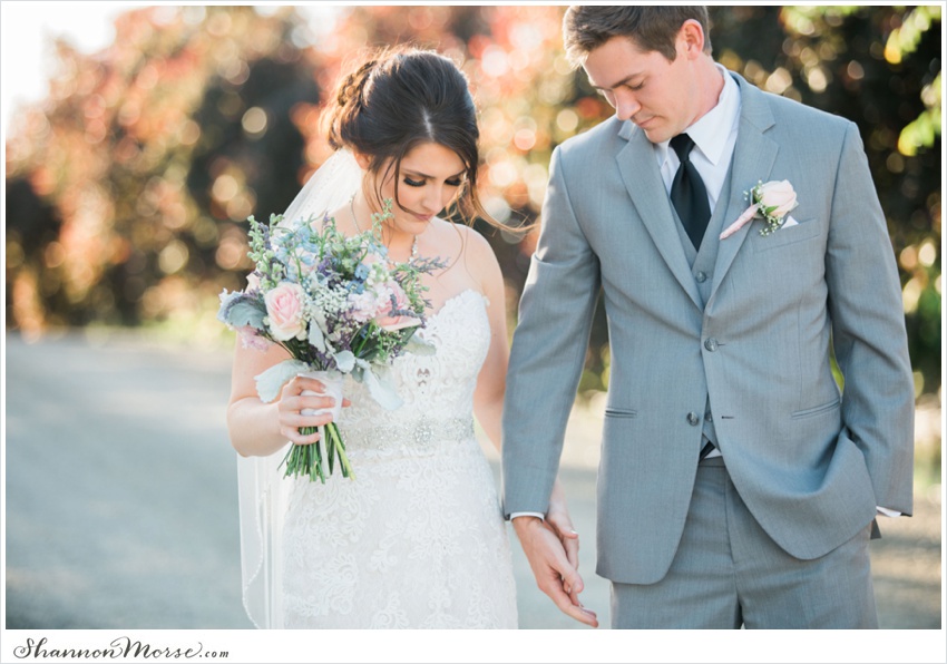 LisaTony_Vacaville_Taber_Ranch_Wedding_0097