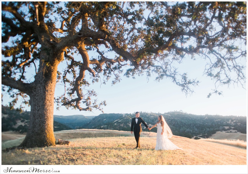 Juliana_Jon_WineCountry_Wedding_Capay_0079