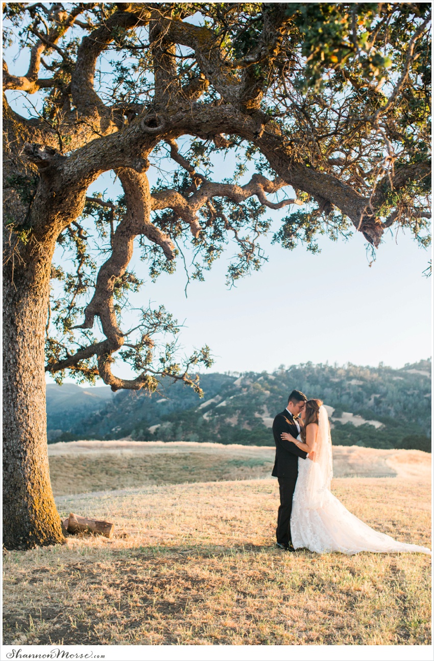 Juliana_Jon_WineCountry_Wedding_Capay_0080